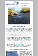 April 2020 newletter image