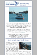 July 2020 newsletter image