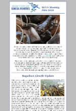 June 2020 newsletter image