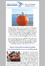 October 2020 newsletter image
