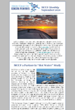 September 2020 newsletter image