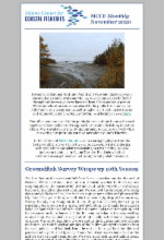November 2020 newsletter image