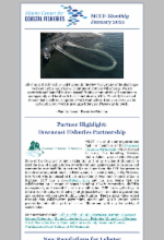 January 2021 newsletter image