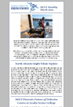 March 2021 newsletter image