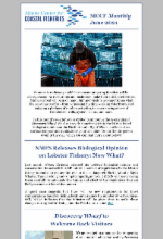 June 2021 newsletter image