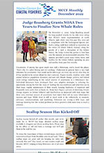 December 2022 Newsletter image