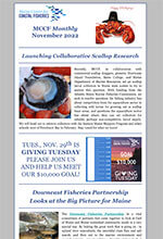 November 2022 Newsletter image